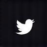 X (Twitter) icon